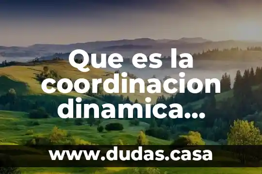 Que es la coordinacion dinamica general en educacion fisica