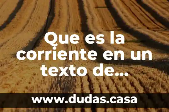 Que es la corriente en un texto de español