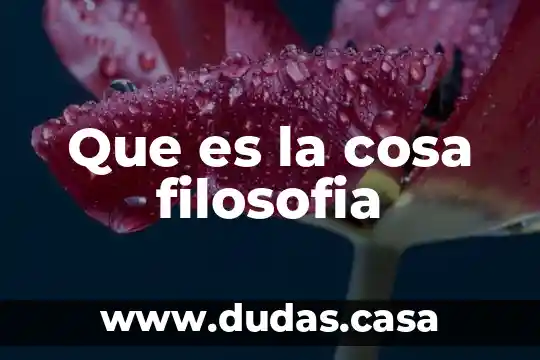 Que es la cosa filosofia