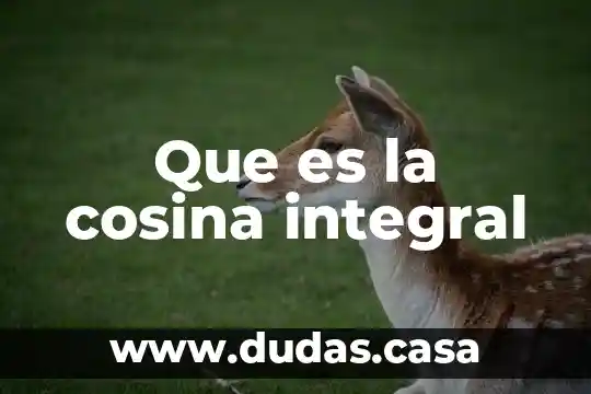 Que es la cosina integral