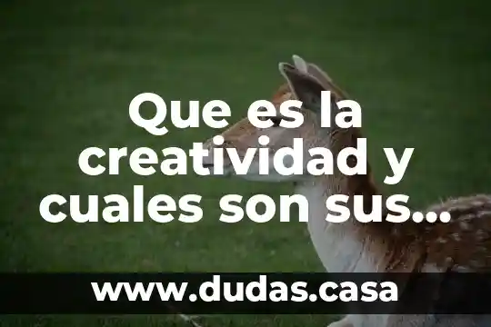Que es la creatividad y cuales son sus caracteristicas