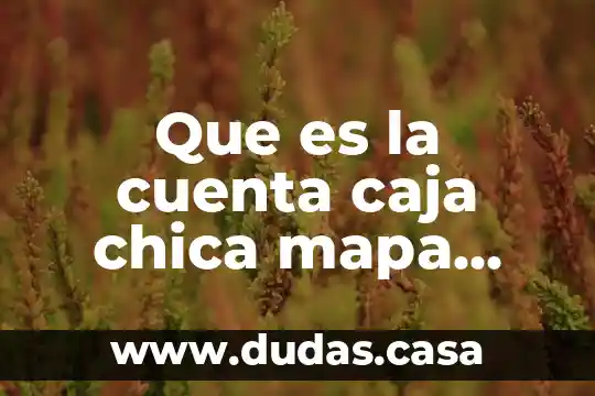 Que es la cuenta caja chica mapa grafico