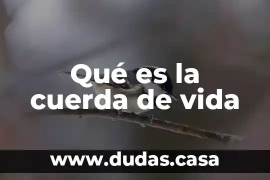 Qué es la cuerda de vida