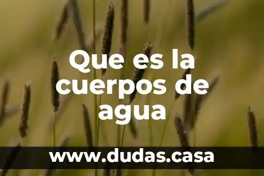 Que es la cuerpos de agua
