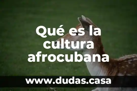 Qué es la cultura afrocubana