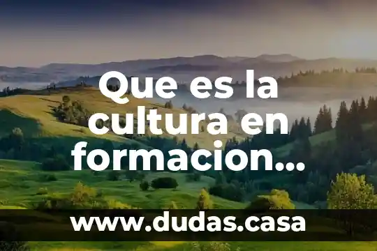 Que es la cultura en formacion ciudadana