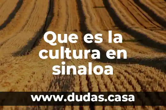 Que es la cultura en sinaloa