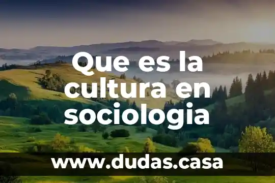 Que es la cultura en sociologia