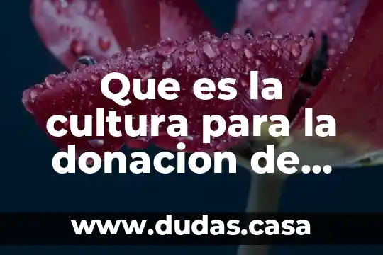 Que es la cultura para la donacion de organos