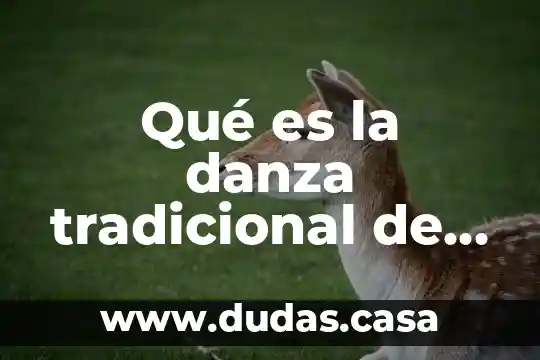 Qué es la danza tradicional de México