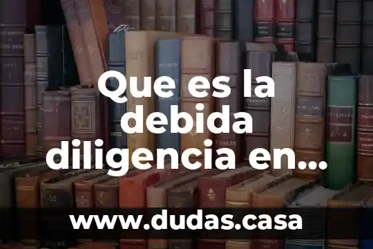 Que es la debida diligencia en materia de derechos humanos