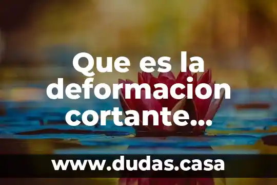 Que es la deformacion cortante fisicamente hablando