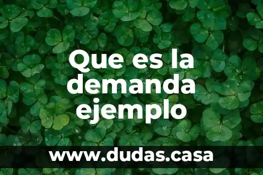 Que es la demanda ejemplo