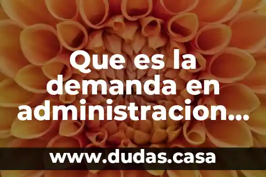 Que es la demanda en administracion ejemplos