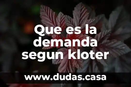 Que es la demanda segun kloter