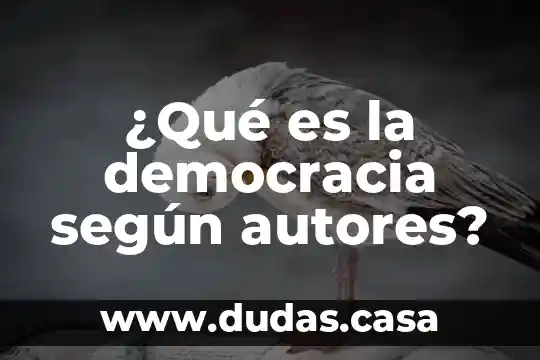 ¿Qué es la democracia según autores?