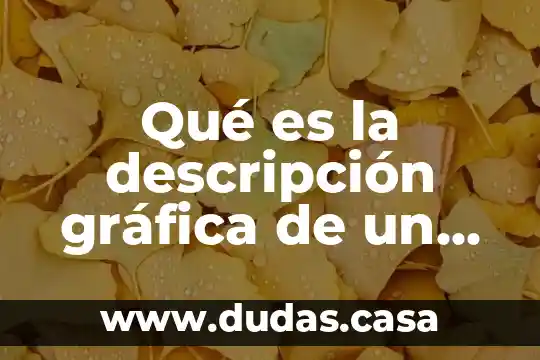 Qué es la descripción gráfica de un objeto