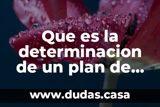 Que es la determinacion de un plan de auditoria