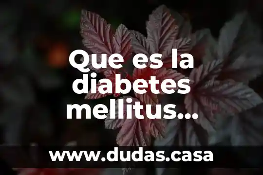 Que es la diabetes mellitus informacion de libro