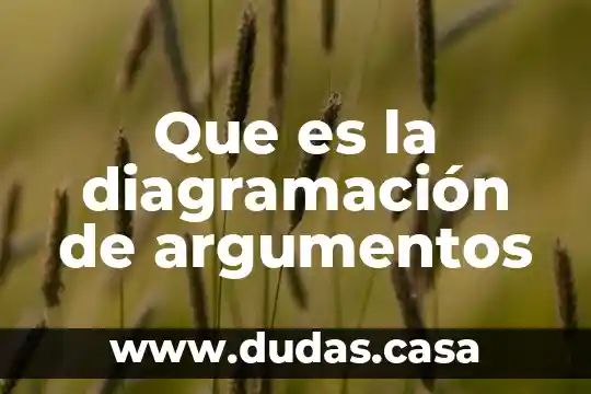 Que es la diagramación de argumentos
