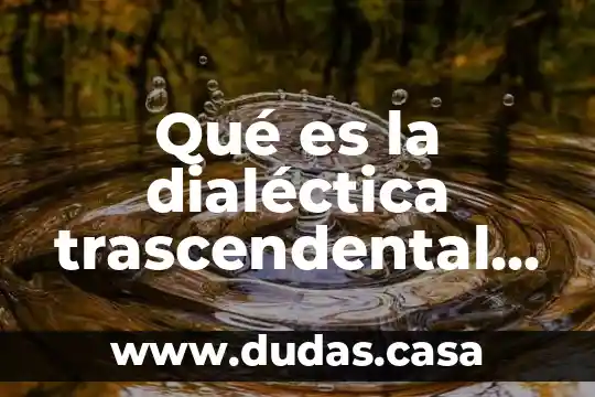 Qué es la dialéctica trascendental según Immanuel Kant
