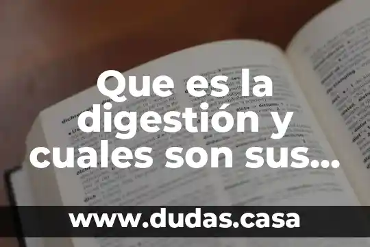 Que es la digestión y cuales son sus sintomas