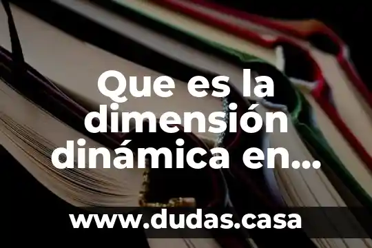 Que es la dimensión dinámica en filosofía