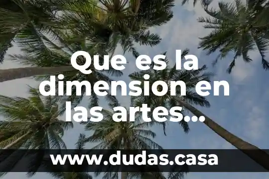 Que es la dimension en las artes visuales
