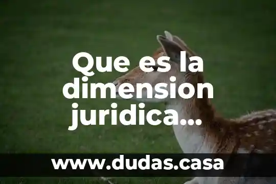 Que es la dimension juridica concepto