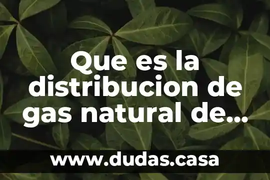 Que es la distribucion de gas natural de baja presion