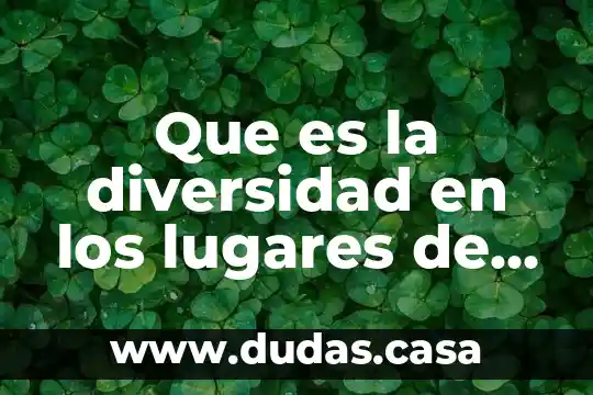 Que es la diversidad en los lugares de trabajo