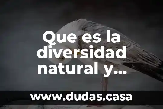 Que es la diversidad natural y cultural de veracruz