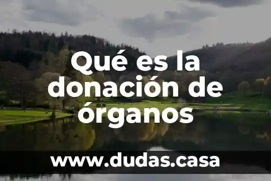 Qué es la donación de órganos