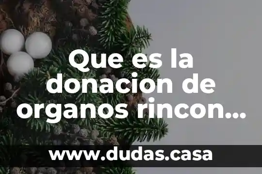 Que es la donacion de organos rincon del vago