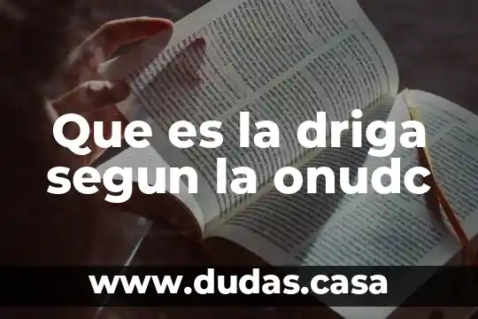Que es la driga segun la onudc