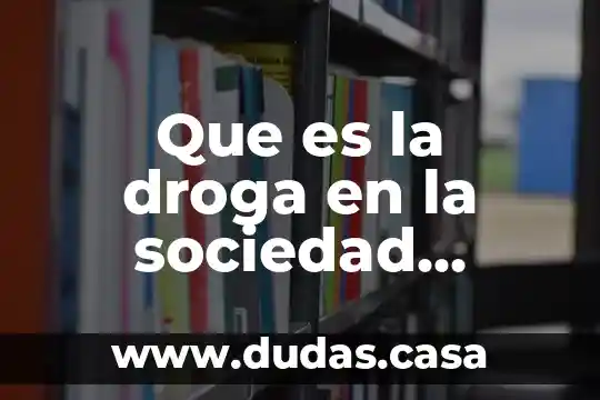 Que es la droga en la sociedad segun autores