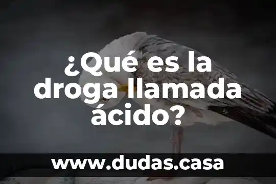¿Qué es la droga llamada ácido?