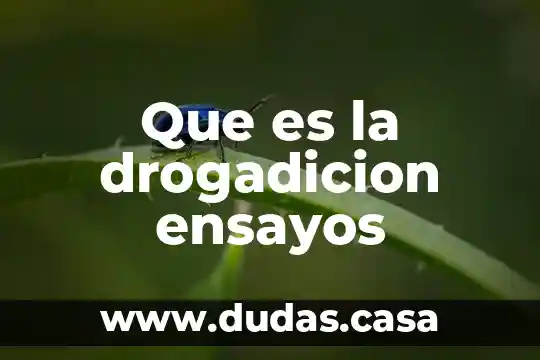 Que es la drogadicion ensayos