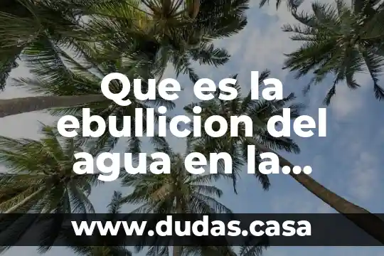 Que es la ebullicion del agua en la purificacion