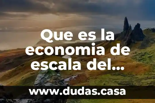 Que es la economia de escala del comercio internacional