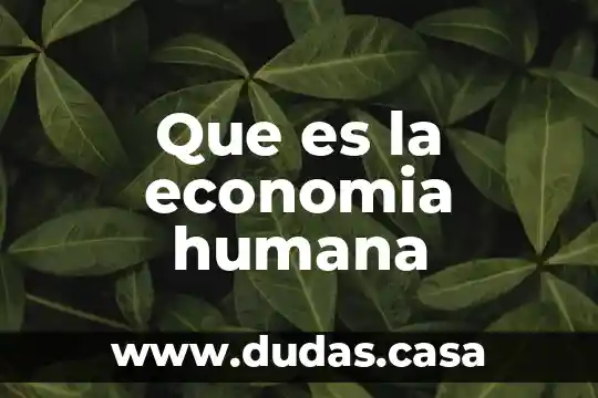 Que es la economia humana