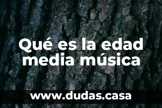 Qué es la edad media música