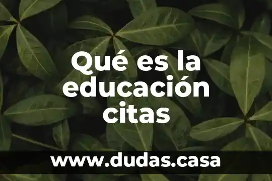 Qué es la educación citas