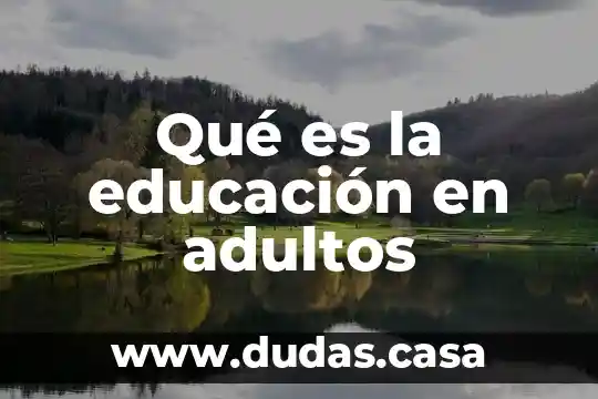 Qué es la educación en adultos