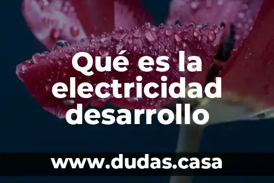 Qué es la electricidad desarrollo