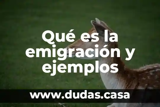 Qué es la emigración y ejemplos