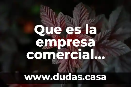 Que es la empresa comercial mexicana