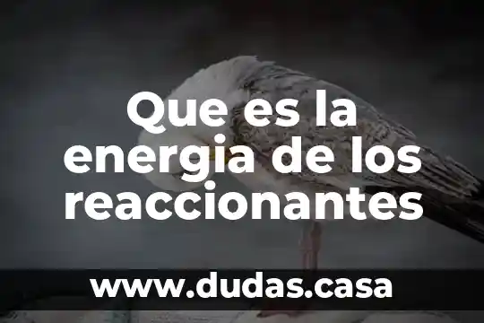 Que es la energia de los reaccionantes