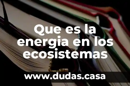 Que es la energia en los ecosistemas