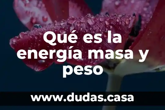 Qué es la energía masa y peso